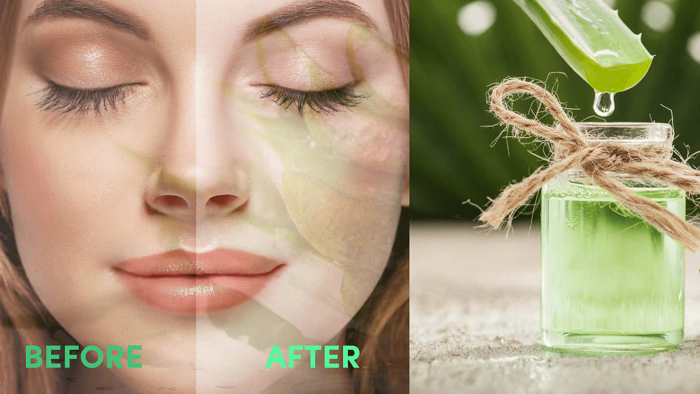 Aloe Vera For Skin Whitening Dermatology Speak Bodywise